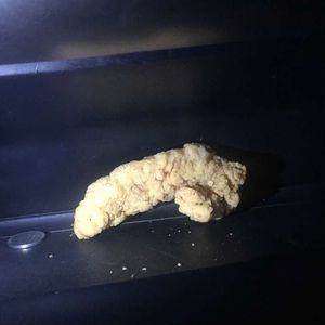 Meet your Posher, Thomas